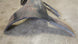 1974 - 1977 Chevy Chevelle Malibu Quarter Panel, Right Hand GM NOS, Angle 4
