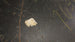 1966 - 1967 Chevelle Full Quarter Panel, RH NOS GM 7632288, Angle 6