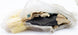 1973 - 1975 Chevelle Door Rubber, Right Hand Original GM NOS, Angle 3