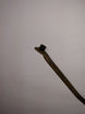 1968 - 1981 Accelerator Throttle Cable Retainer Clip at Pedal, Angle 3