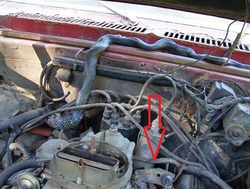 1968 - 1972 Chevelle or Nova Accelerator Throttle Cable Bracket for Quadrajet Carburetors 3992376, Angle 4