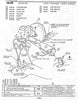 1968 - 1969 Nova Small Brake Line Set for Pro Valve and Master Cylinder, 4 Pieces, Stainless Steel, Angle 3