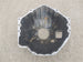 1967 - 1972 Chevelle or Nova Clutch Bellhousing, 10.5 Inch, GM Original Used 3858403, Angle 7