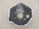 1967 - 1972 Chevelle or Nova Clutch Bellhousing, 10.5 Inch, GM Original Used 3858403, Angle 7