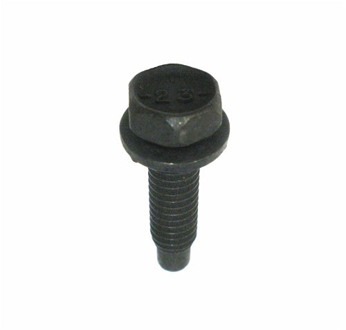 1968 - 1972 Chevelle and Nova Correct Door Hinge Bolts