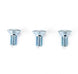 1962 - 1972 Chevelle or Nova Door Latch Mechanism Mounting Screws Set, 3 Pieces, Angle 3