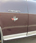 1965 - 1967 Chevelle Custom Chrome 502 Fender Emblem, Each, Angle 2