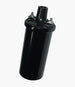 AC Delco Ignition Coil