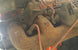 1969 Chevelle or Nova Air Conditioning Compressor Bracket, Big Block, Rear Lower Head Mounting, Angle 3