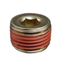 a Intake Manifold Hole Pipe Plug, with Thread Sealer