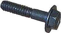 1964 - 1975 Chevelle Voltage Regulator Mounting Screw, Each