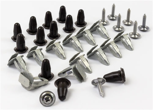 Master Door Panel Fastener Kit, 32 pieces