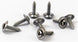1966 - 1972 Chevelle Original Style Lower Door Panel Screws Set, 8 Pieces