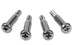 Park Light Lens Screws, Set of 4
