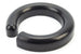 Chevelle and Nova Polyurethane Coil Spring Spacer, 1/2 Inch, Angle 4