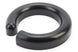 Chevelle and Nova Polyurethane Coil Spring Spacer, 1/2 Inch, Angle 4