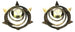 Photo of a 1967 - 1972 GM Radio Static Collector Star Washers for Front Wheel Hub Grease Caps, Pair, Get Yours Today!